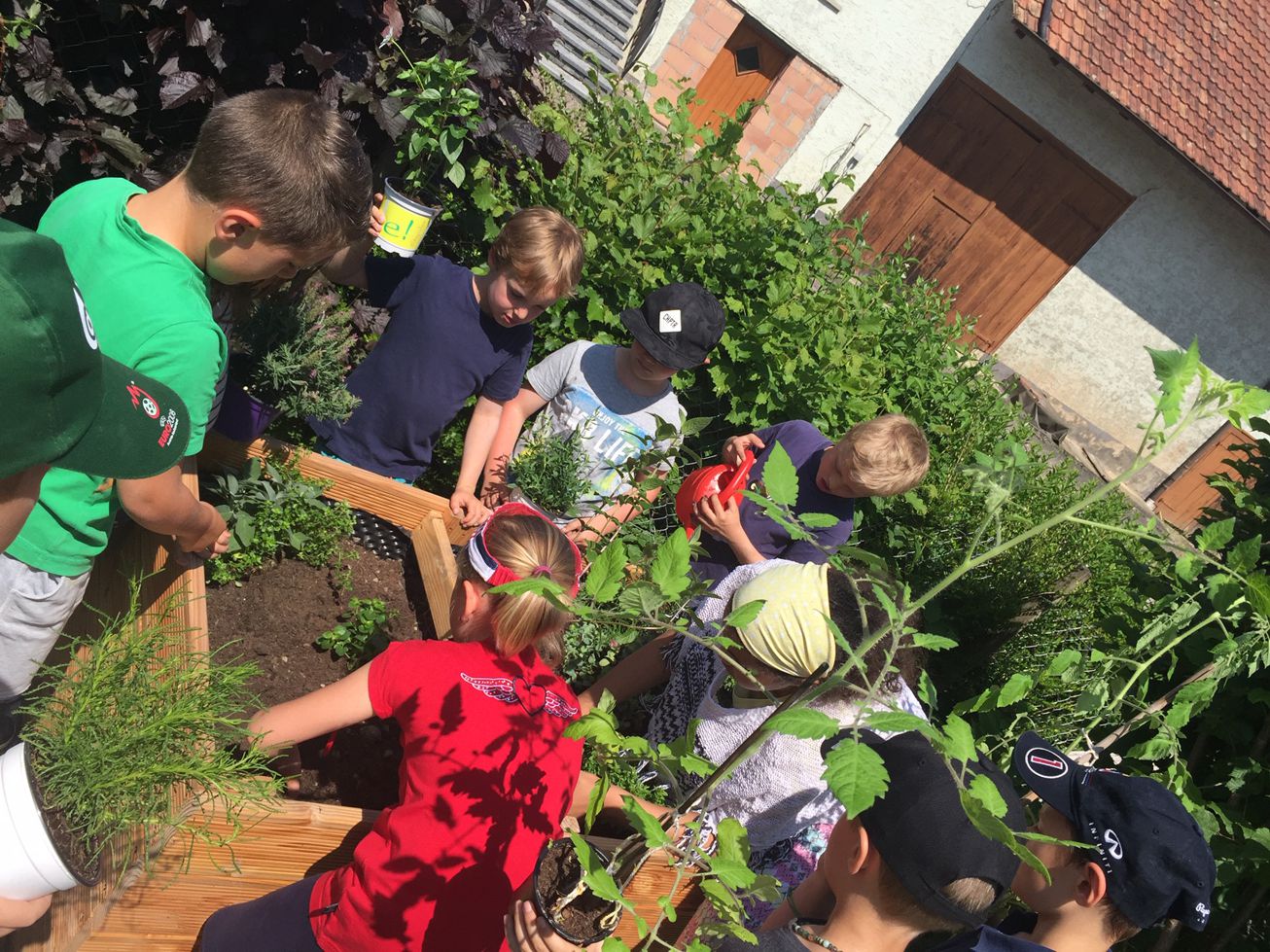Grundschule Dettighofen-Baltersweil